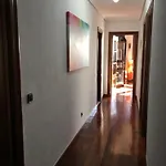 El Mirador